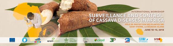  Communiqué de presse de l'atelier international  "Surveillance et contrôle des maladies du manioc en Afrique