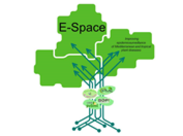 “Improving epidemiosurveillance E-SPACE of Mediterranean and tropical plant diseases”
