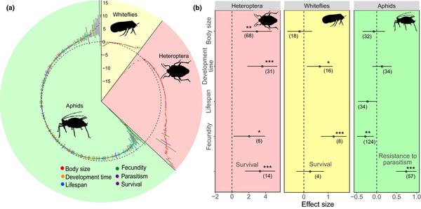 Fig.1Overall effects of facultative symbionts on Heteroptera (Hemiptera: Heteroptera), Whitefly (Hemiptera: Aleyrodidae) and Aphids (Hemiptera: Aphididae)©Zytynska et al, Molecular ecology, 2021