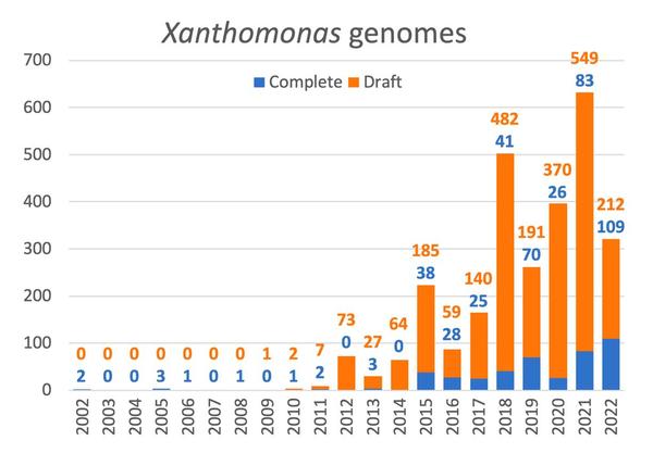 Figure 1 – NCBI Xanthomonas genome statistics©Koebnick R.
