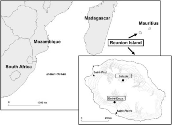 Fig. 1. Location of Reunion Island in the Indian Ocean and chayote cultivation ©Deguine et al.Crop Protection, 2020