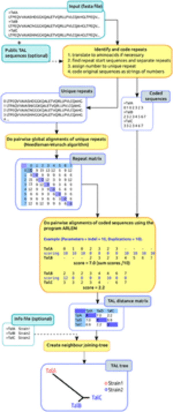 QueTAL: a suite of tools to classify and compare TAL effectors functionally and phylogenetically
