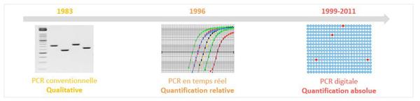 PCR digitale : quelles perspectives pour le 3P ?