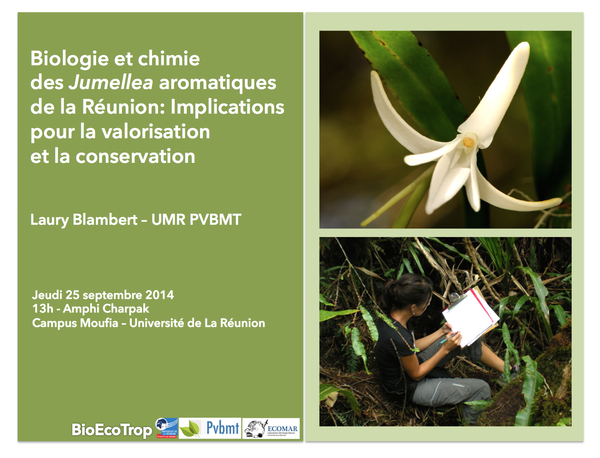 Biologie et chimie des Jumellea aromatiques de la Réunion : Implications pour la valorisation et la conservation
