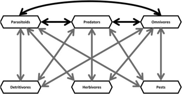 fig.1 : path diagram ©Jacquot et al, agriculture, ecosystem and environment