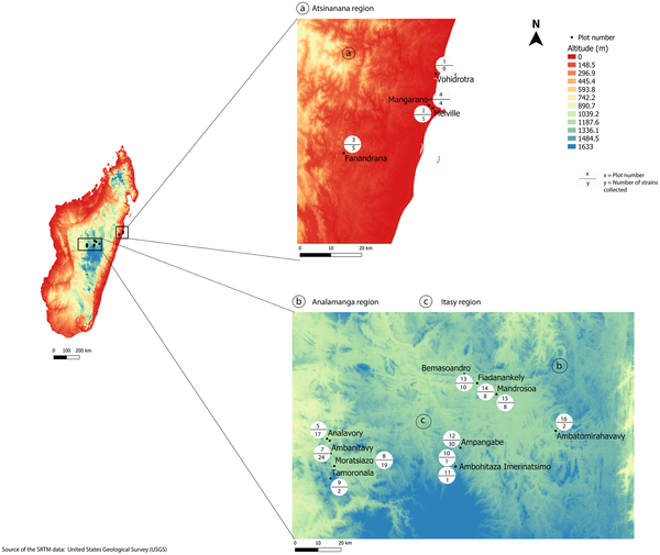 Fig 1. Collection area of RSSC phylotype I in Madagascar©Rasoamanana et al.2020 Plos One