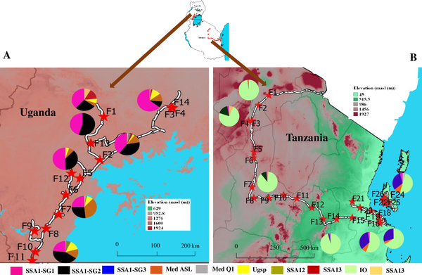 fig 1. sites and composition of B. tabaci genotypes© Ally H.M et Al,  PlosOne, 2023