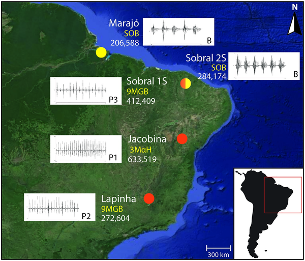 Genomic analysis of two phlebotomine sand fly vectors of Leishmania from the New and Old World