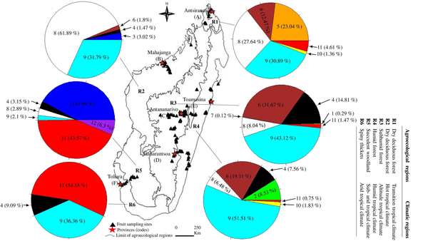 Host plant ranges of fruit flies (Diptera: Tephritidae) in Madagascar