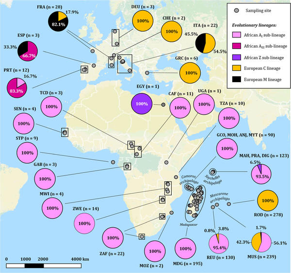 Large-scale mitochondrial DNA analysis of native honey bee Apis mellifera populations reveals a new African subgroup private to the South West Indian Ocean islands