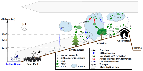 Preliminary results from the FARCE 2015 campaign: multidisciplinary study of the forest–gas–aerosol–cloud system on the tropical island of La Réunion
