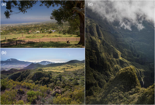 Plate 1: The diversity and spatial structure of habitats in La Réunion island©Barnagaud J.-Y. et al., Ecol.Evolution, 2023
