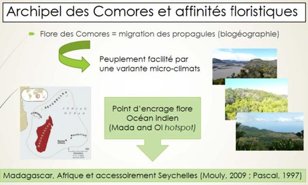 Etat de conservation des milieux naturels et semi-naturels des Comores