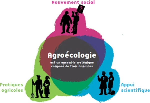 Recherche Action Filmique Interdisciplinaire sur les pratiques de protection Agroecologique des cultures (RAFIA) : Présentation travaux