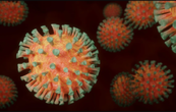 coronavirus, crédit : Cirad-Umr-Pvbmt